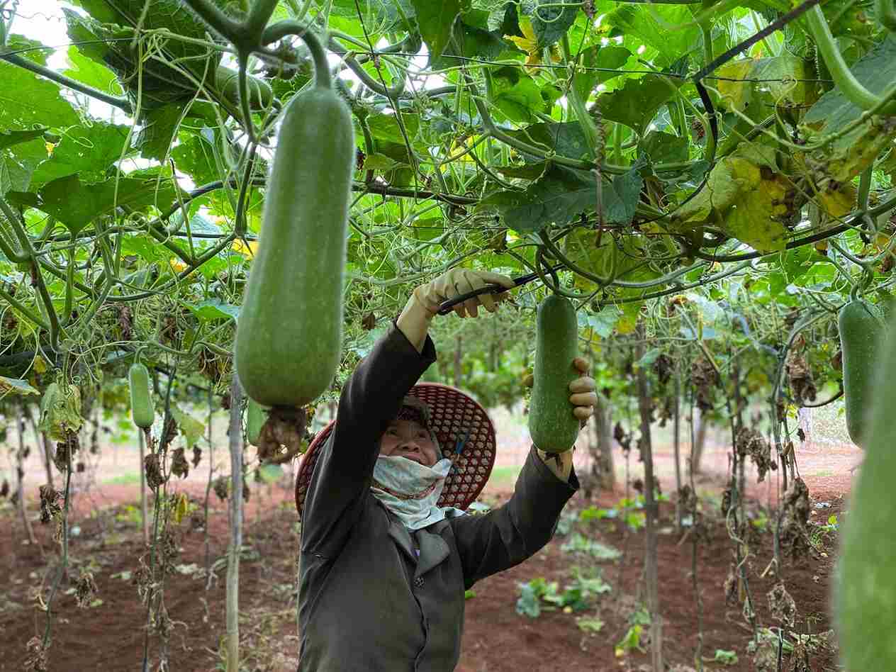 Thailand’s Agriculture Industry